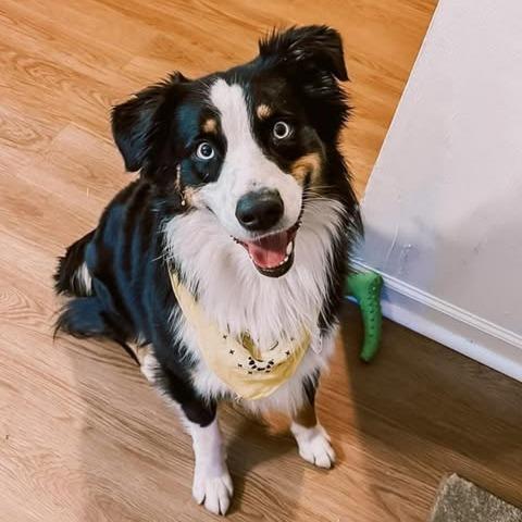 Max