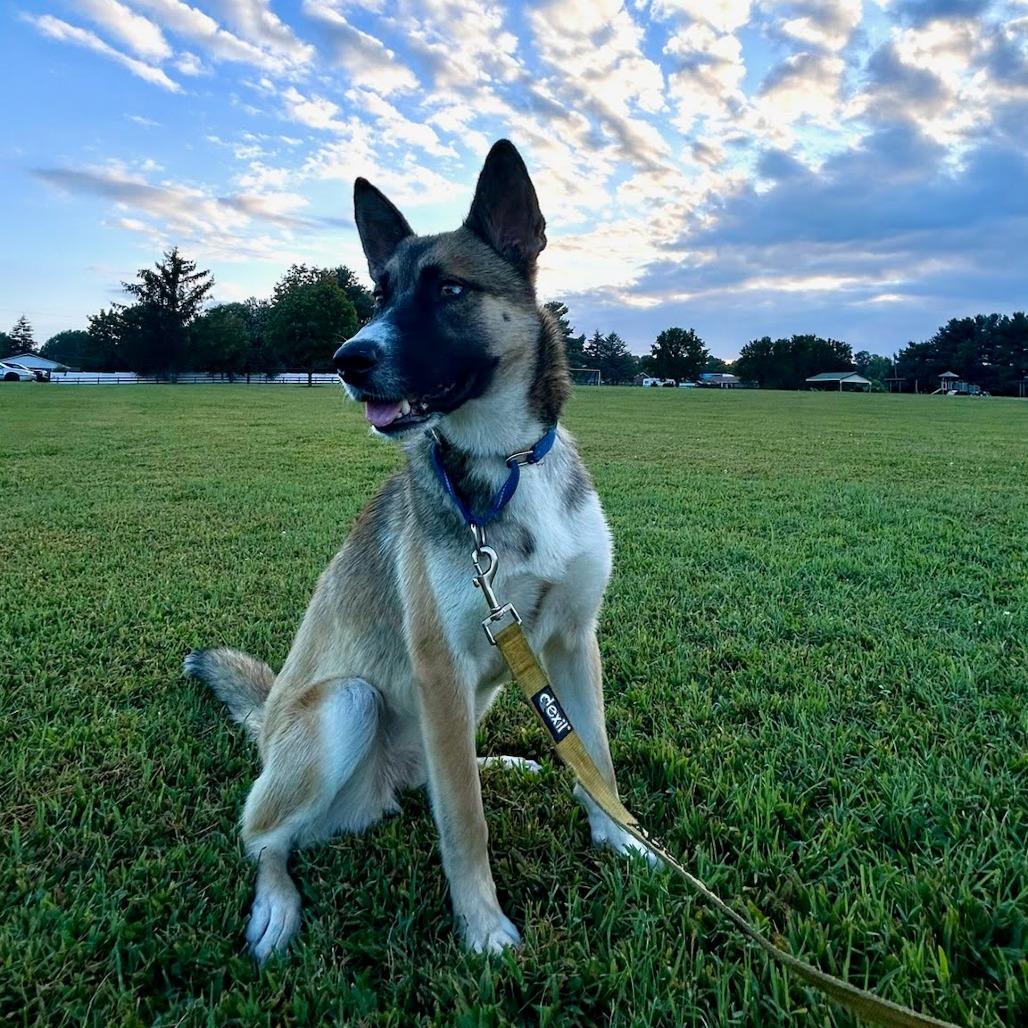 Roxie