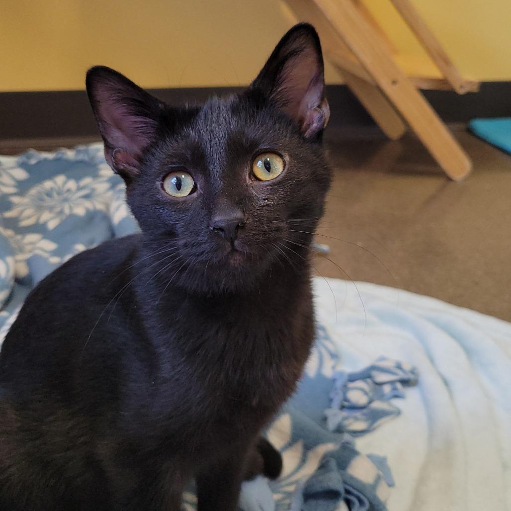 Marvin
