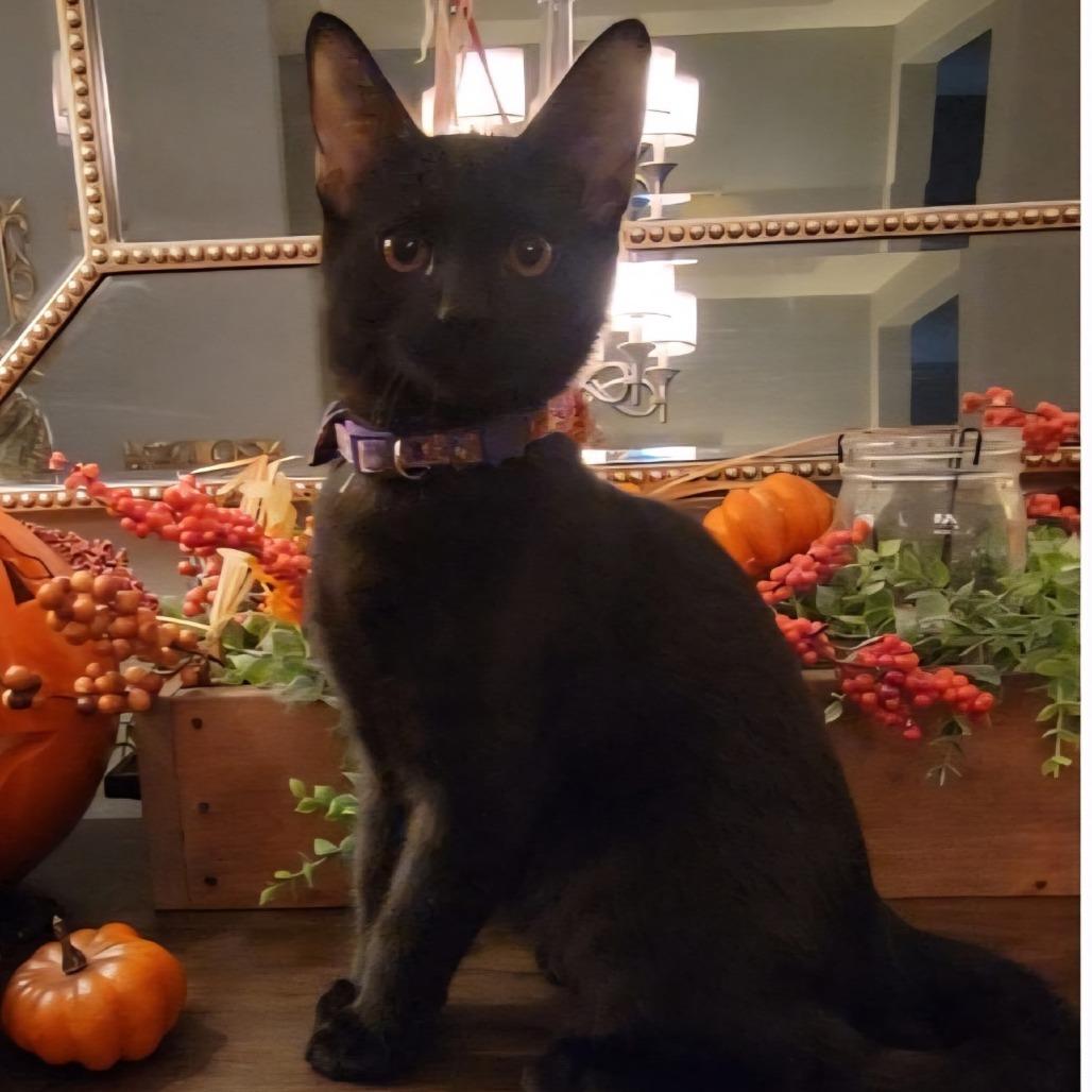 Vigo