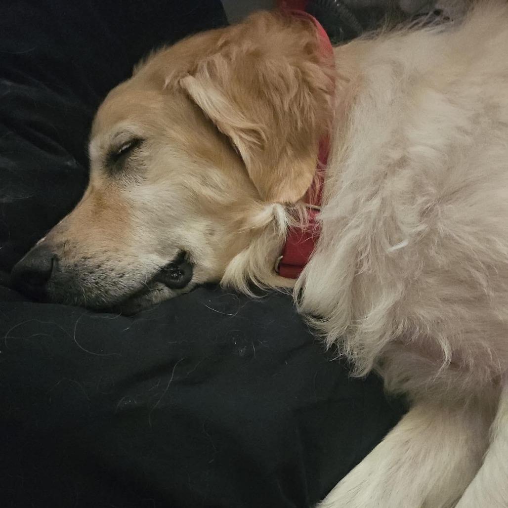 Sadie Mae