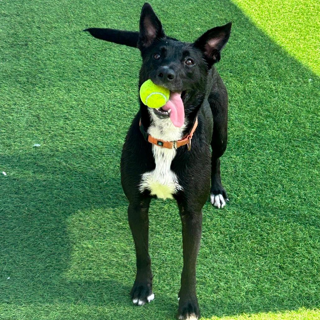 Maggie