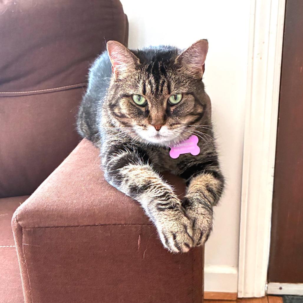 Franklin (Bonded with Eleanor)