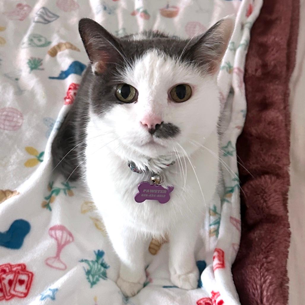 Eleanor (Bonded with Franklin)