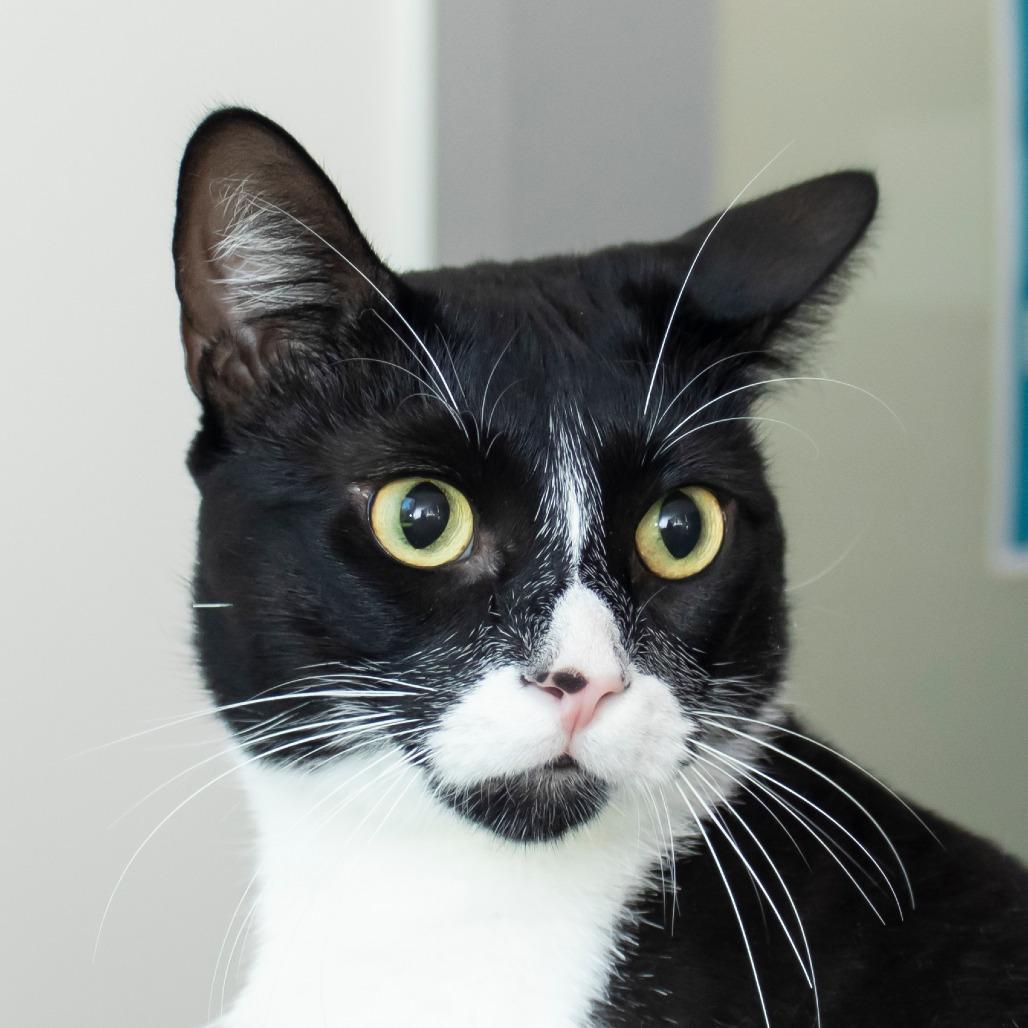 Ernie