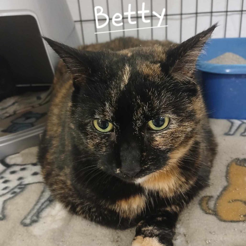 Betty