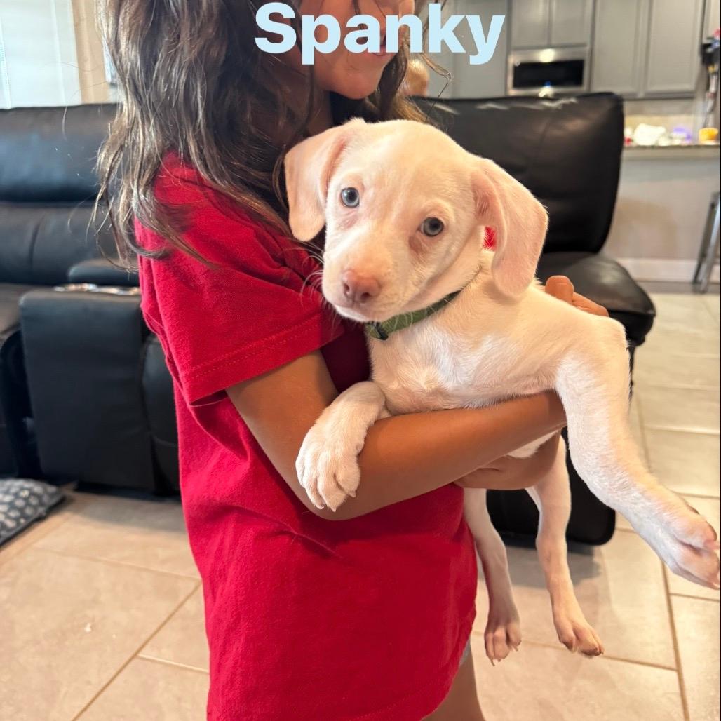 Spanky 