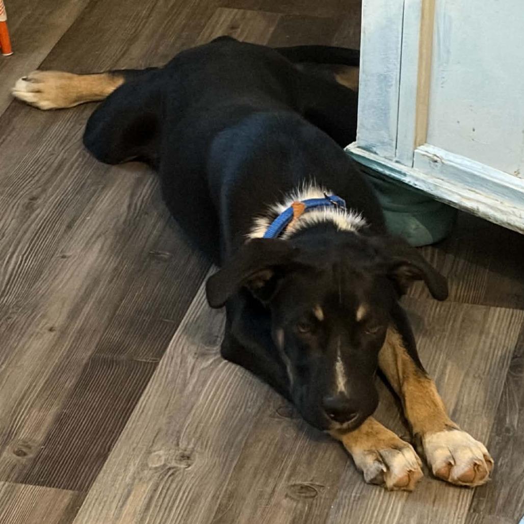 Max
