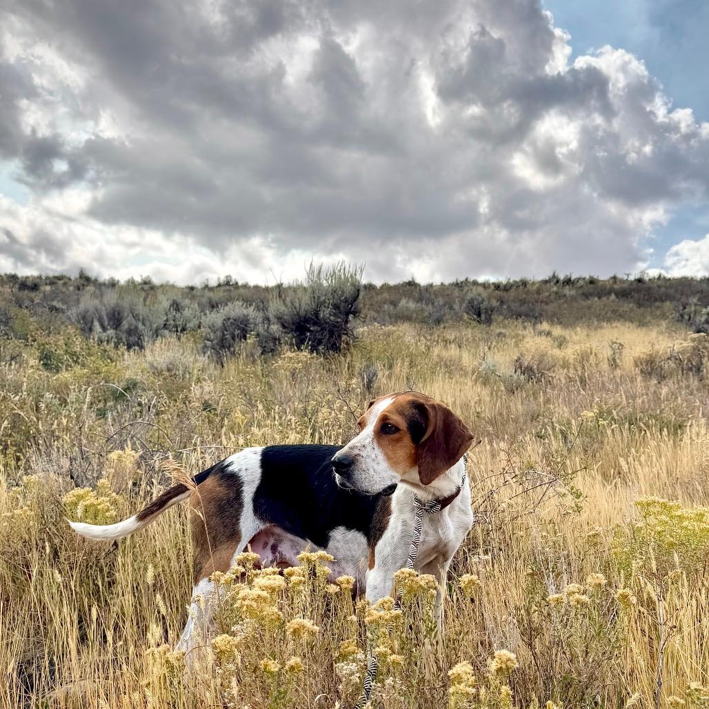 Maggie