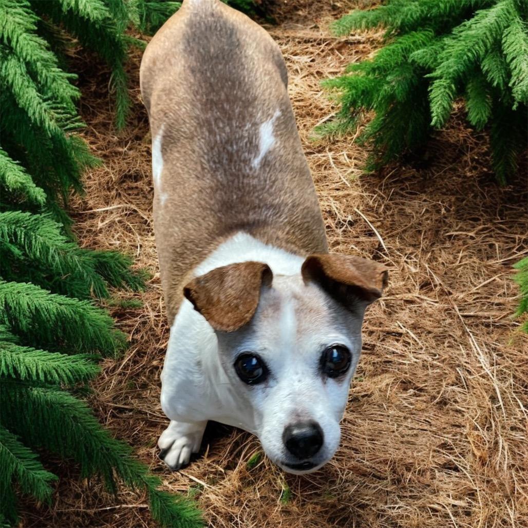 MAX (bonded w/Mickey)