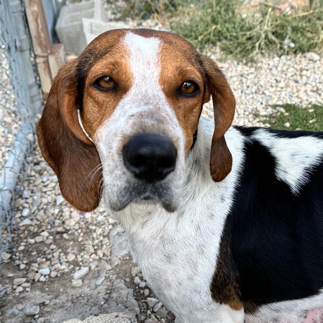 Maggie