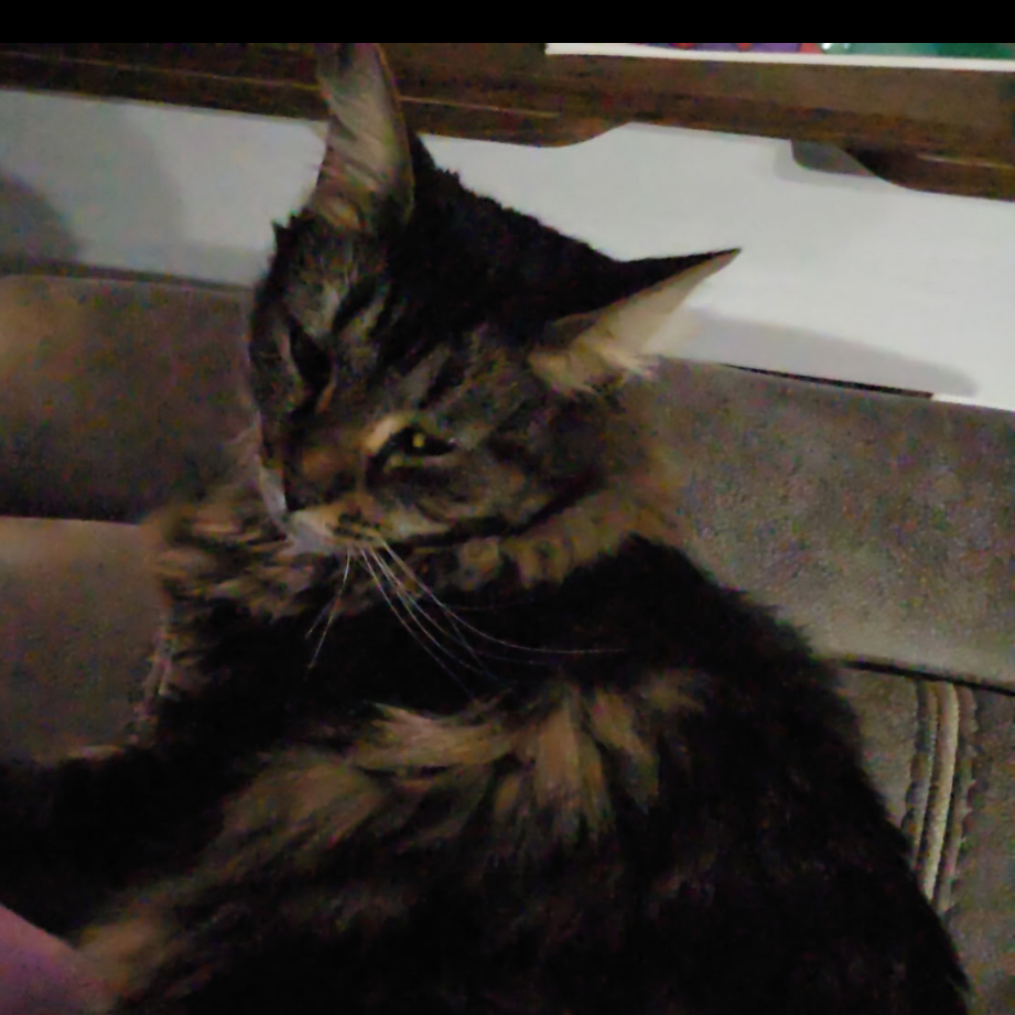 Piper Pepper