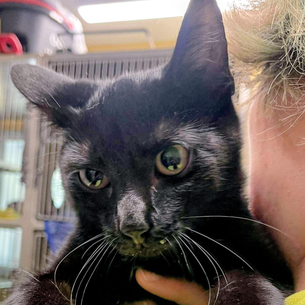 Salem