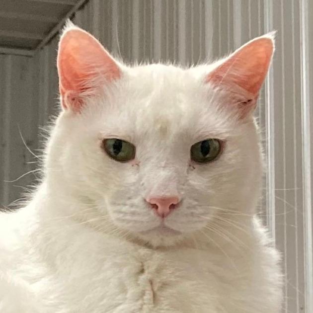 Wilbur (Winter)