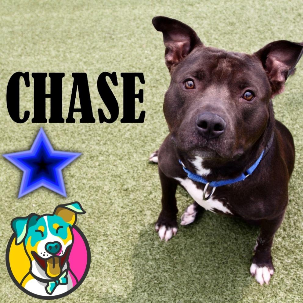 Chase