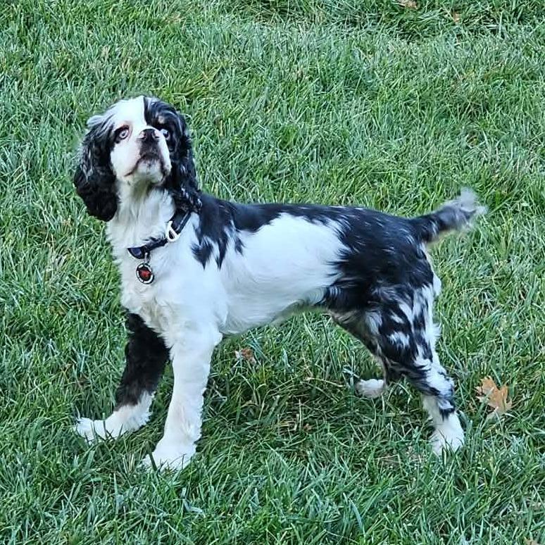 Lucy Goosey