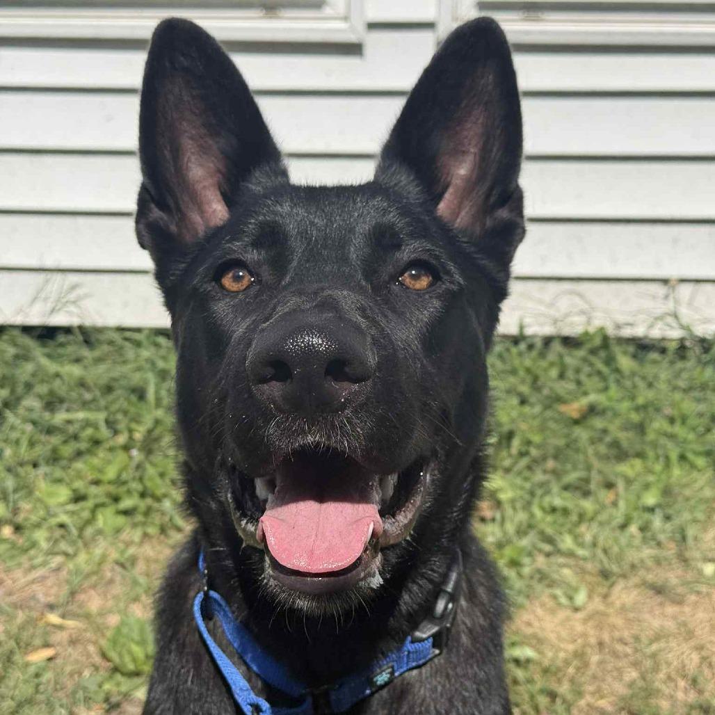 Finn