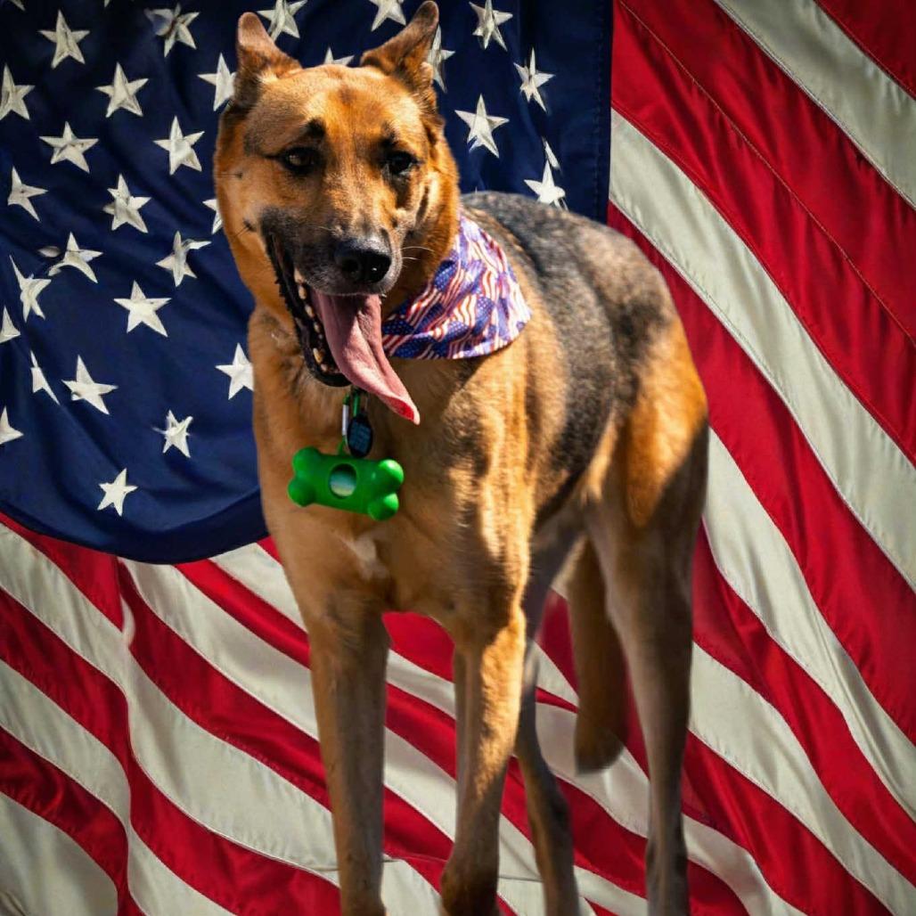 Barkley