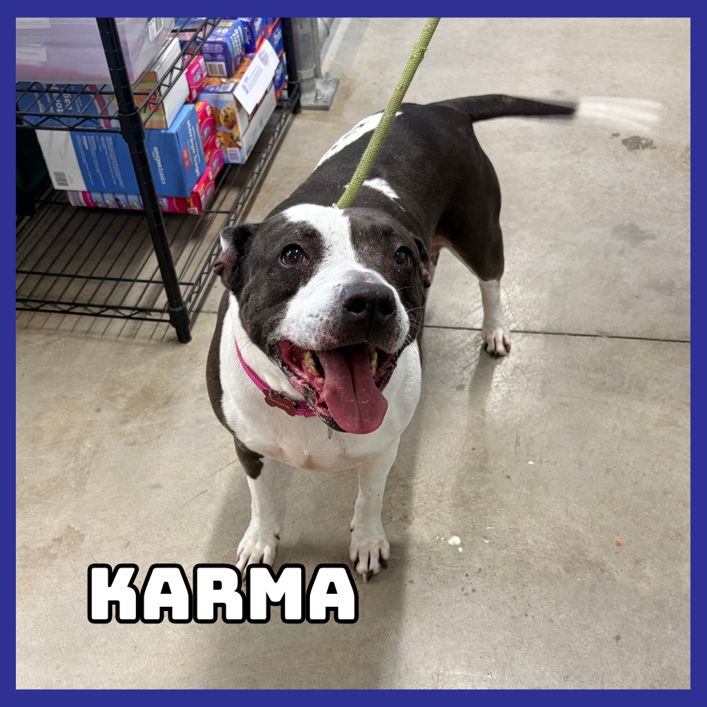 Karma