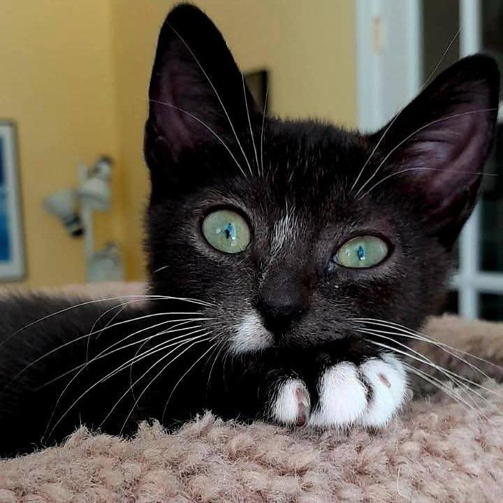 Eleanor