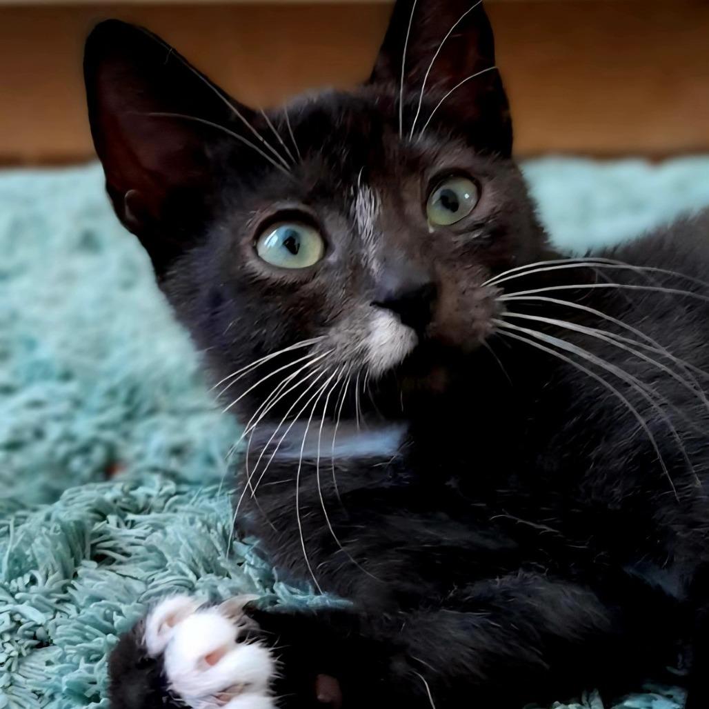 Eleanor