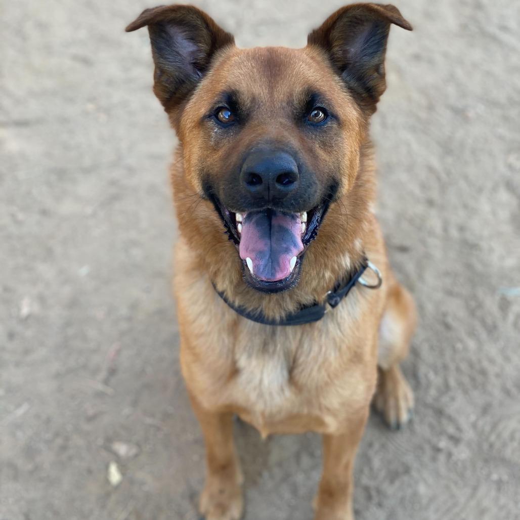 Beau
