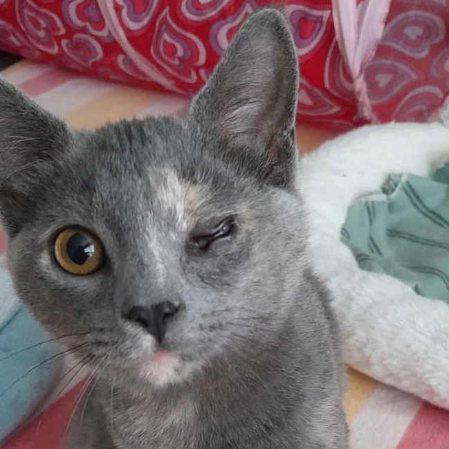 Tina