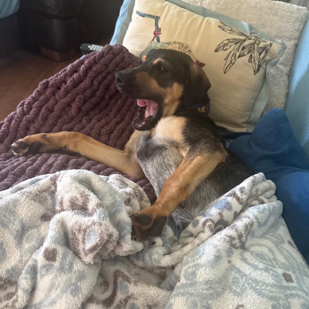 Kenai