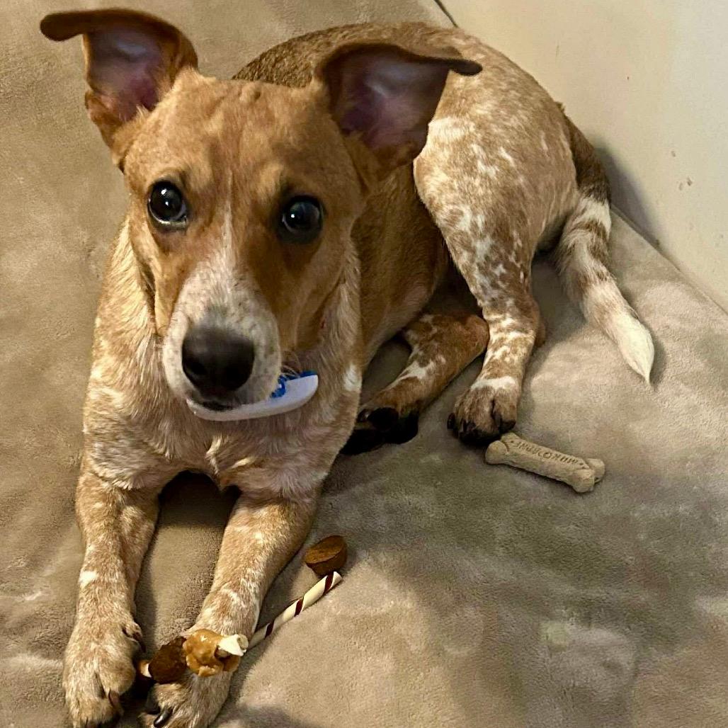 Kaylee $400