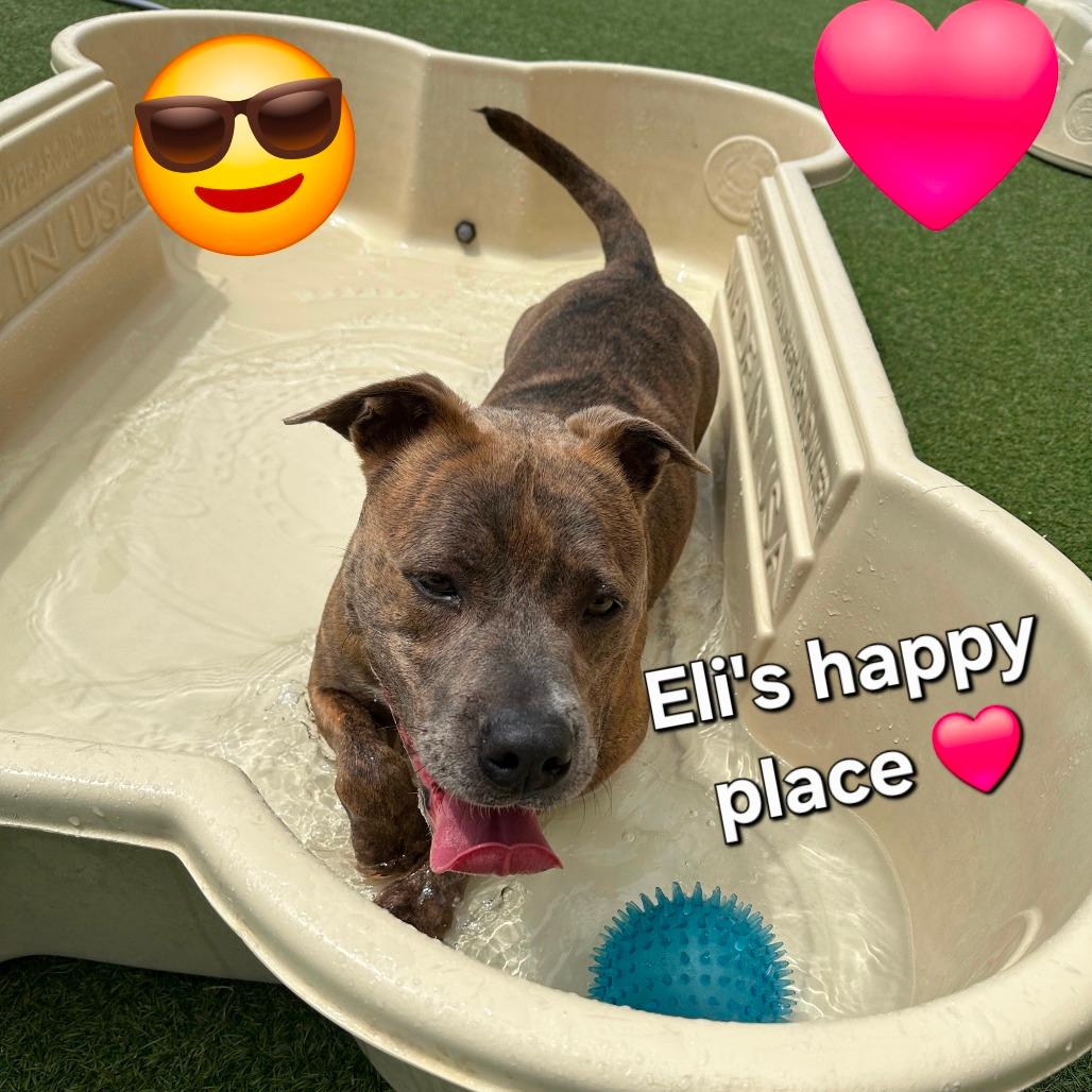 Ely #2