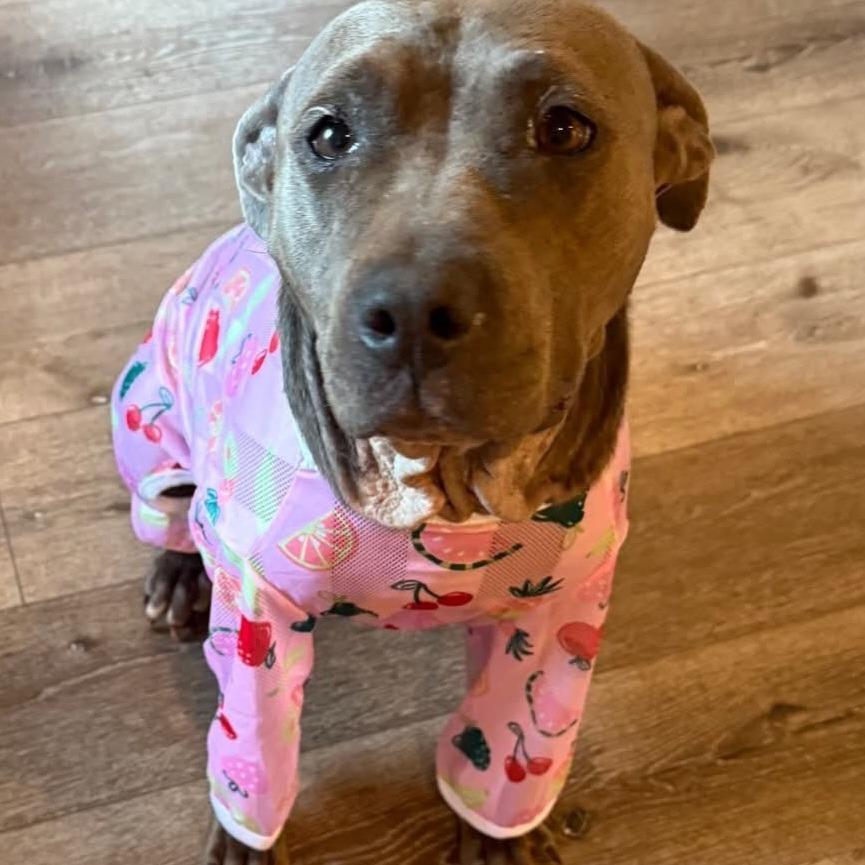Stella