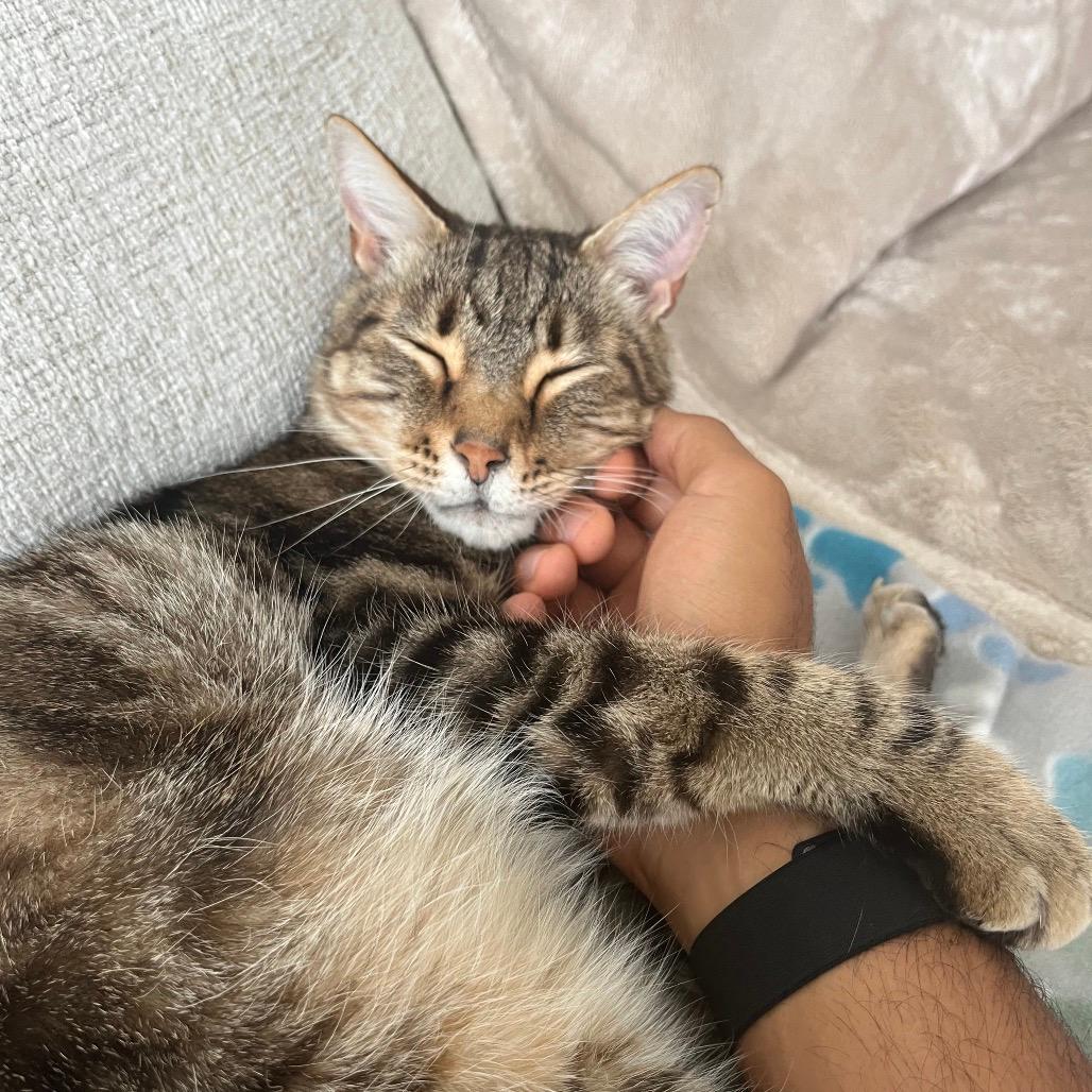 Gilbert