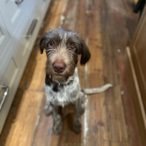 Oaken (La Grange, Texas)