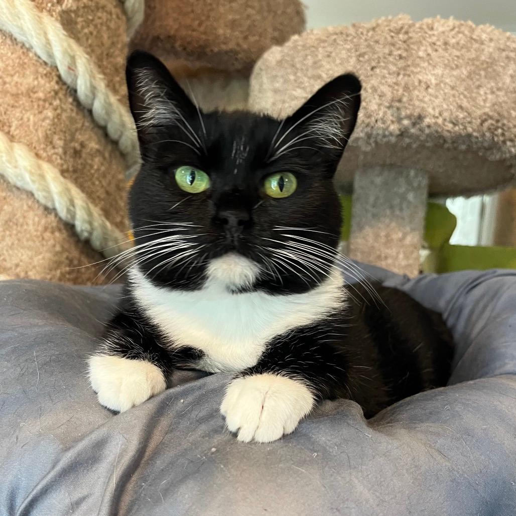Pamela