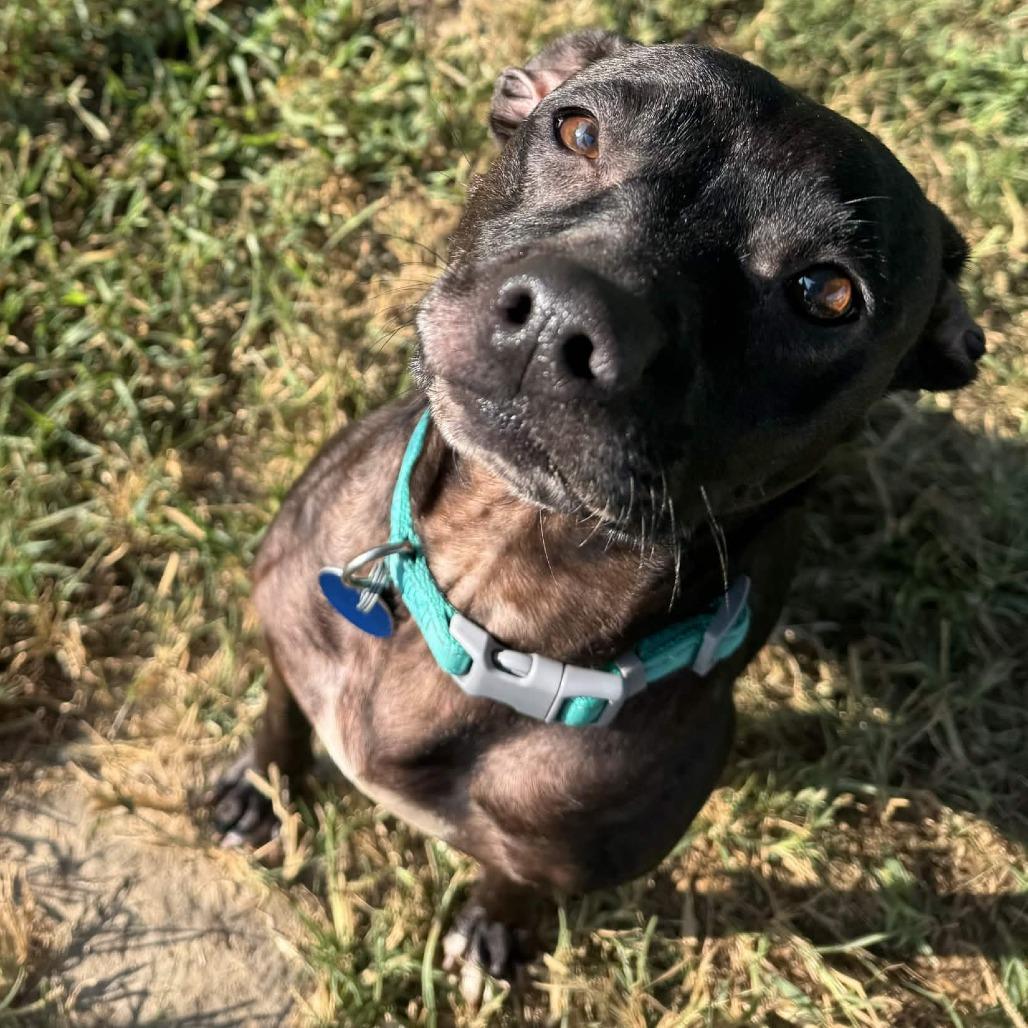 Ramona