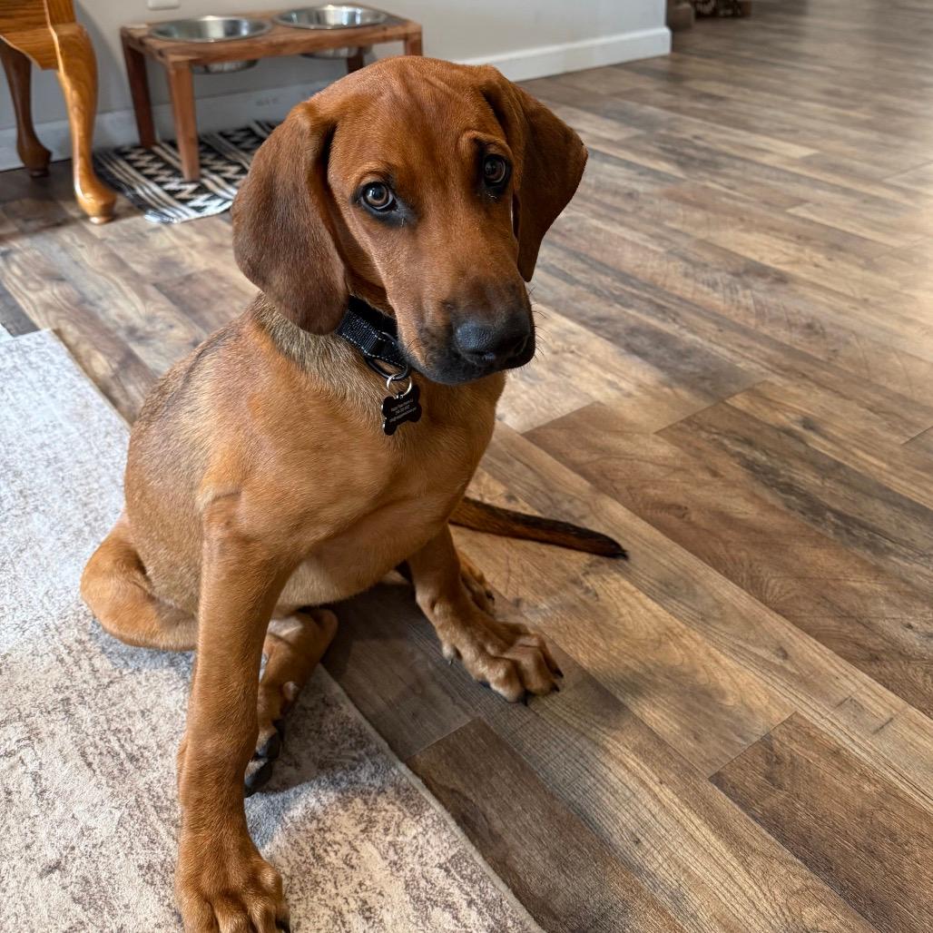 Winston