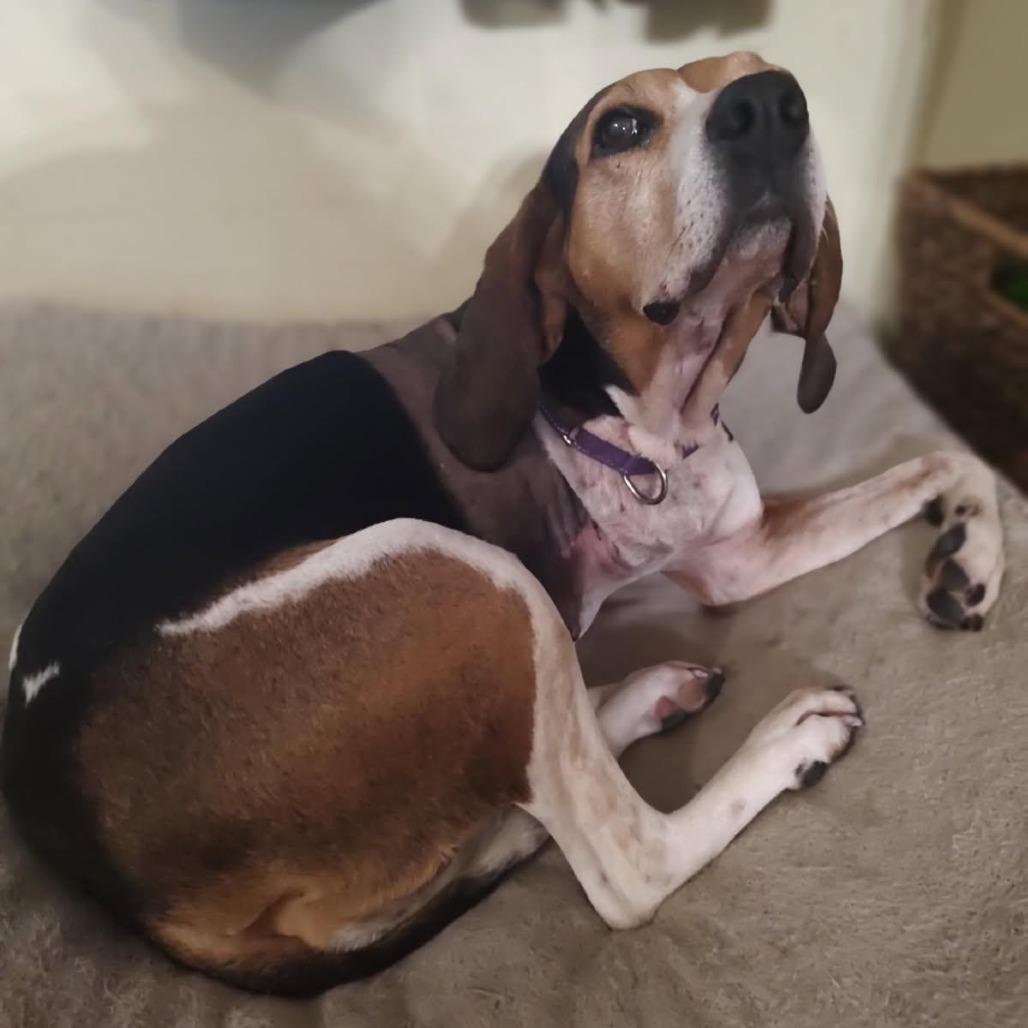 Marley Jean