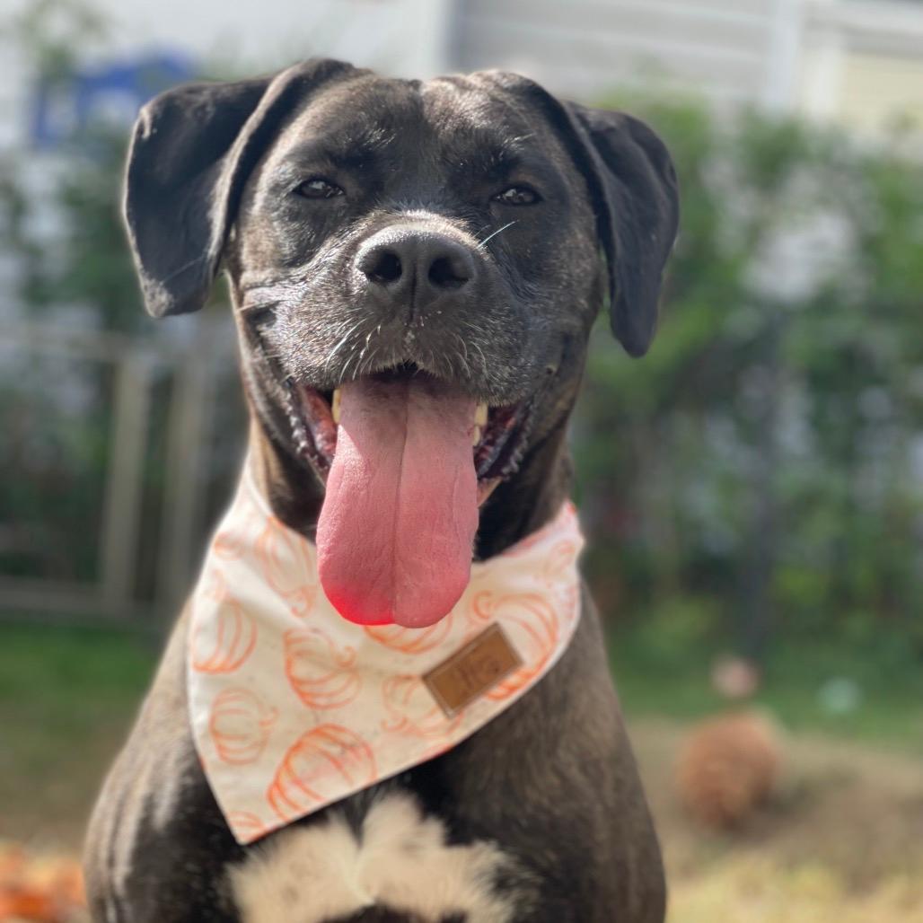 Winnie