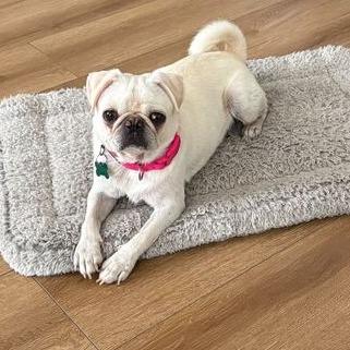 Lucy