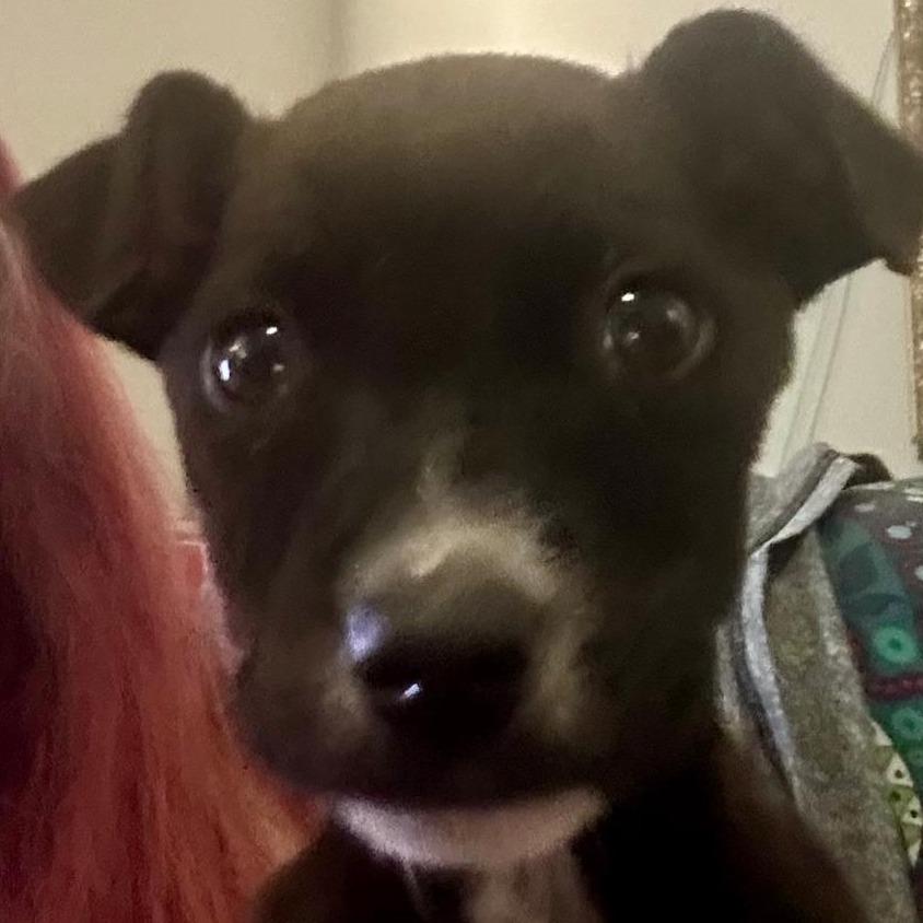 Hera