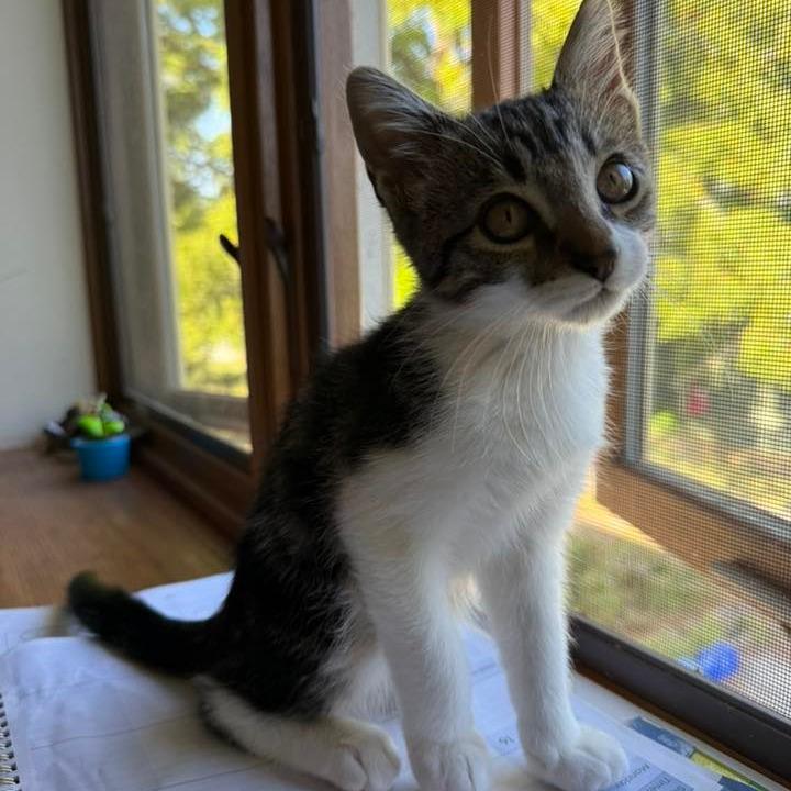 Fiyero $150