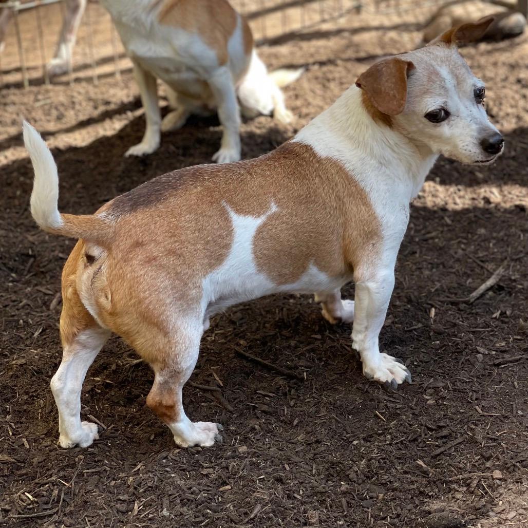 MAX (bonded w/Mickey)