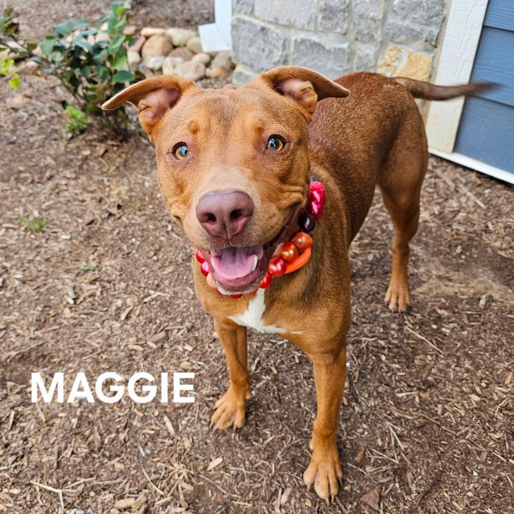 Maggie