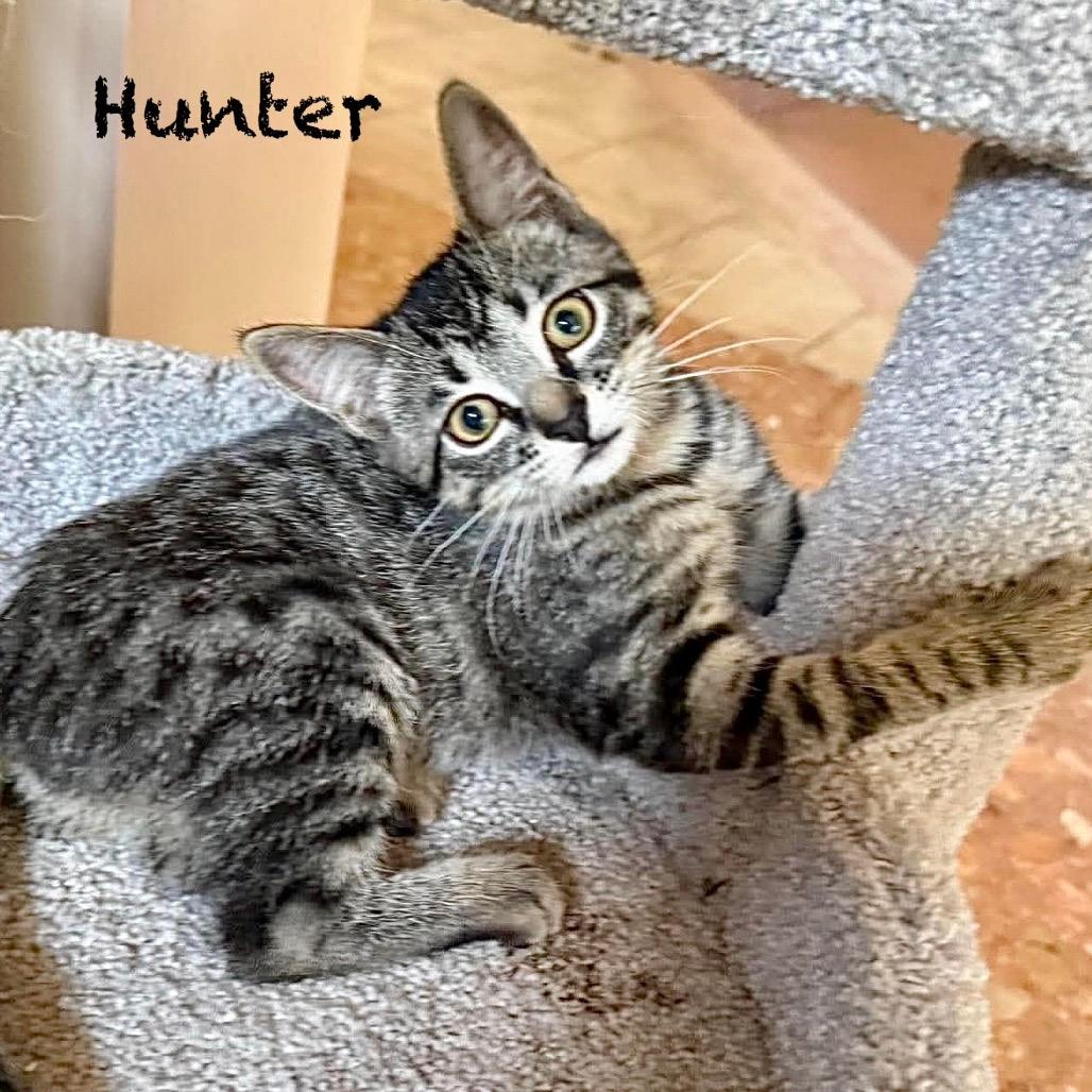Hunter