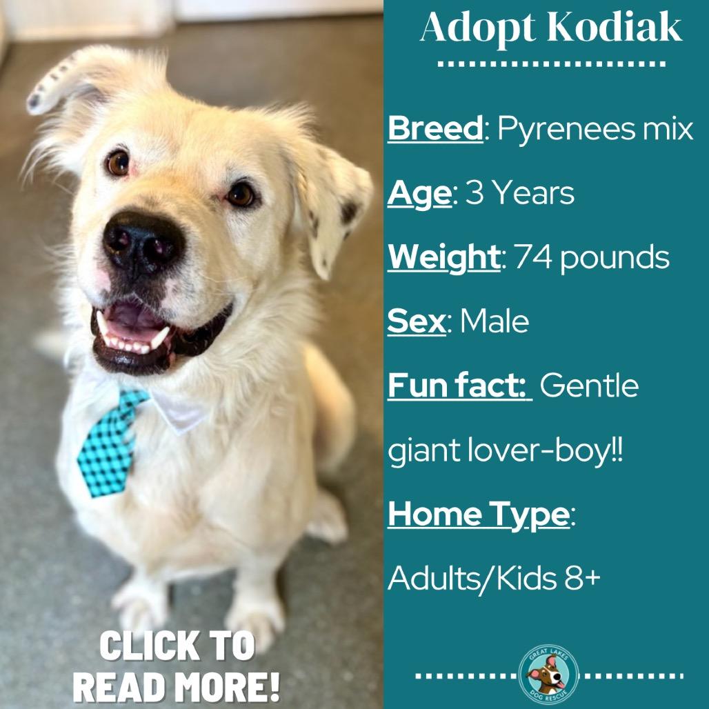 Kodiak