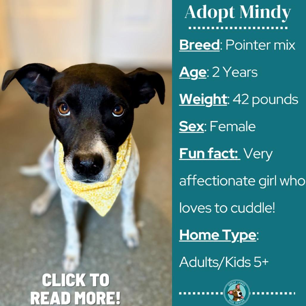 Mindy