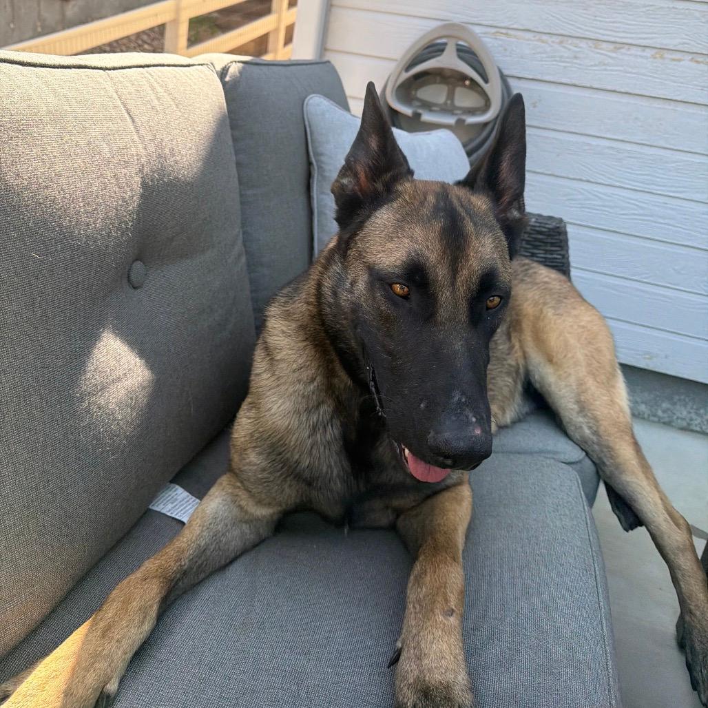 Zeus