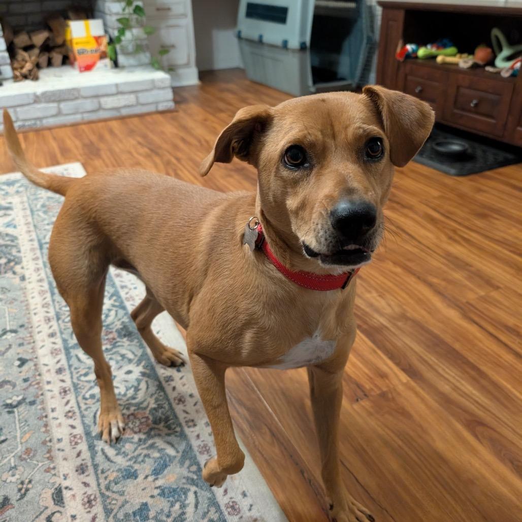 Pepper