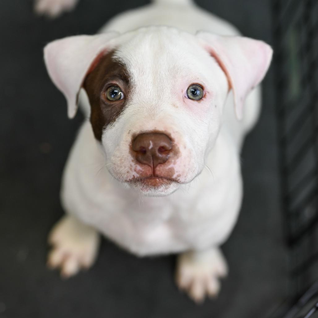 Marco