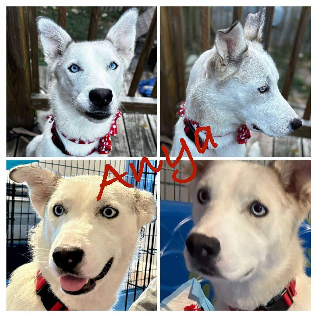 Anya (Mama)